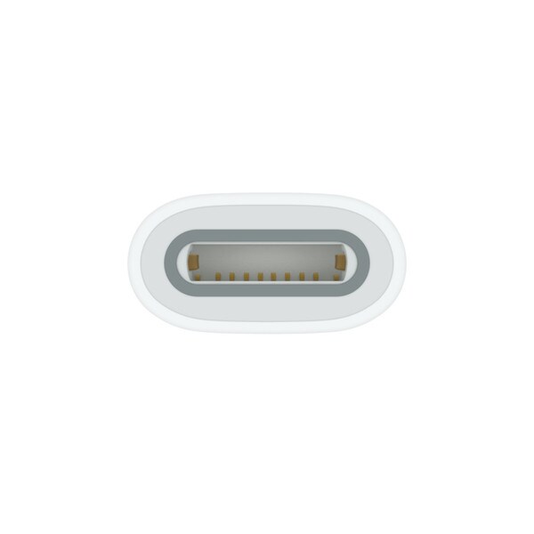 Apple Pencil Adapter, White, USB-C